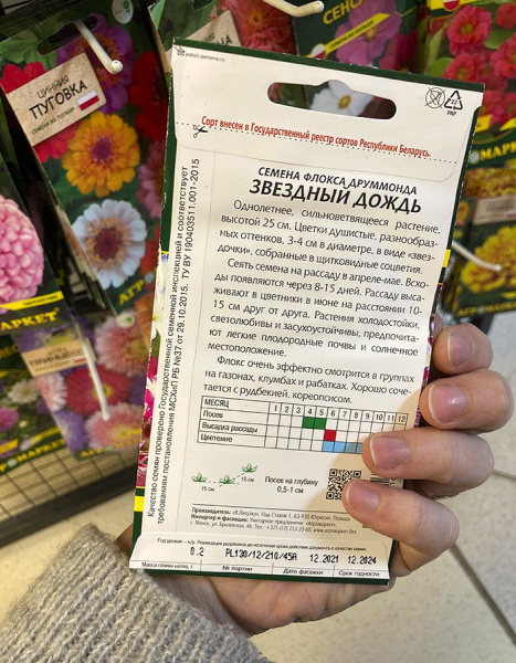 флокс друммонда Звёздный дождь